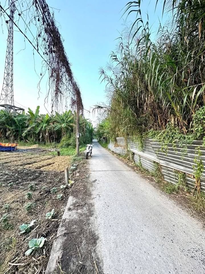 Đất nền Thổ cư 168m² giá 890 triệu - Sổ hồng riêng, gần chợ Cái Chanh!