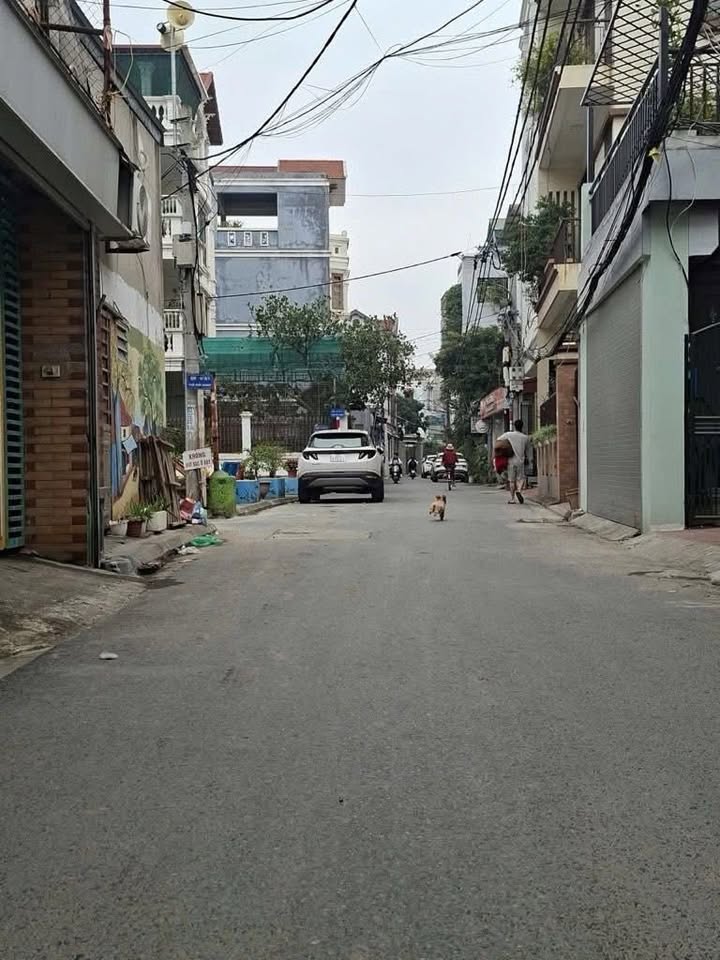 Nhà phố Đức Giang 65m² giá 9.2 tỷ - Thiết kế hiện đại, kinh doanh thuận lợi!