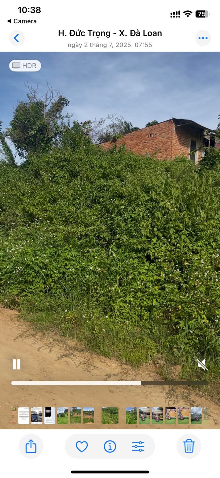 Đất thổ cư xã Đà Loan, 1404m² giá chỉ 1,25 tỷ - Đầu tư sinh lời ngay!