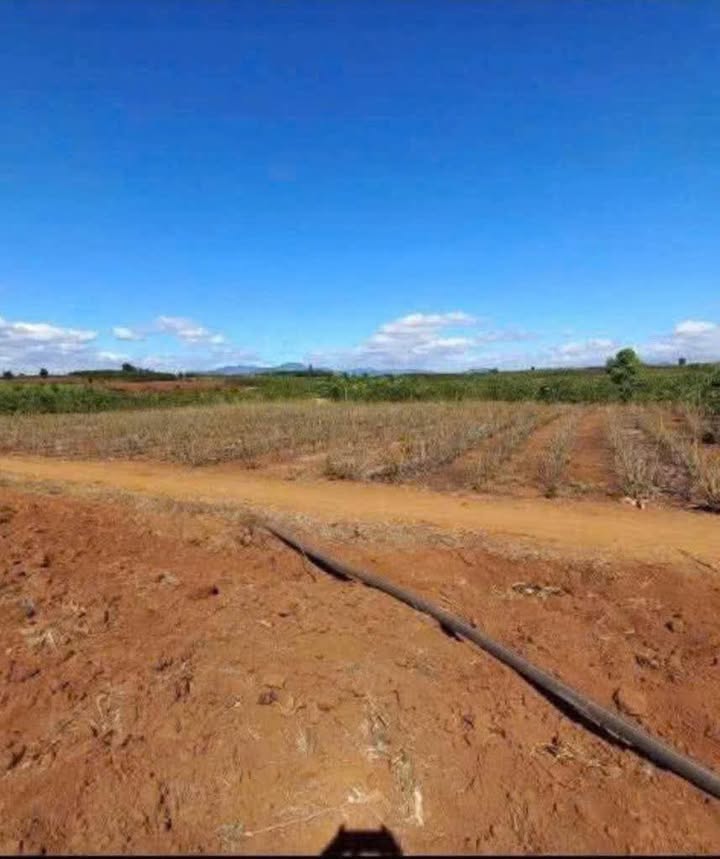 Đất nền Tân Hội 1,6 xào giá chỉ 850 triệu - Cơ hội đầu tư hấp dẫn!