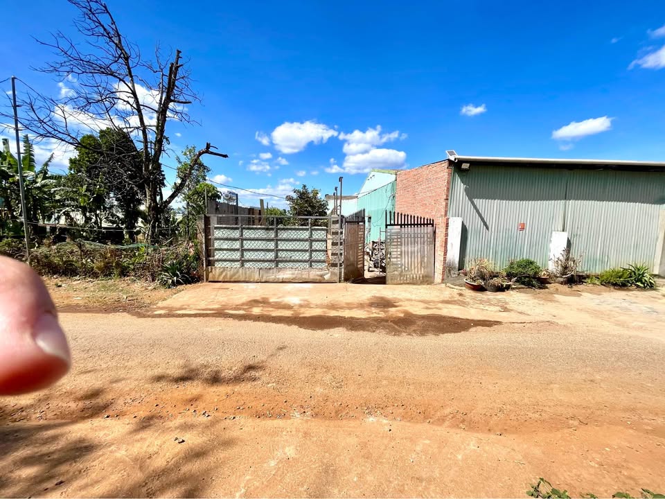 Đất thổ cư Phường Phù Đổng, Pleiku 168m² giá 890 triệu - Cơ hội đầu tư tốt!