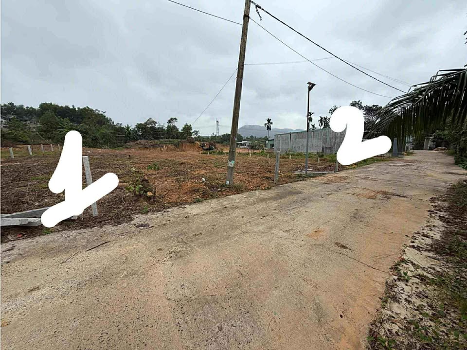 Đất kiệt bê tông 5m tại phường Hòa Khánh, Đà Nẵng 286m² giá 1.75 tỷ - Cơ hội đầu tư tuyệt vời!