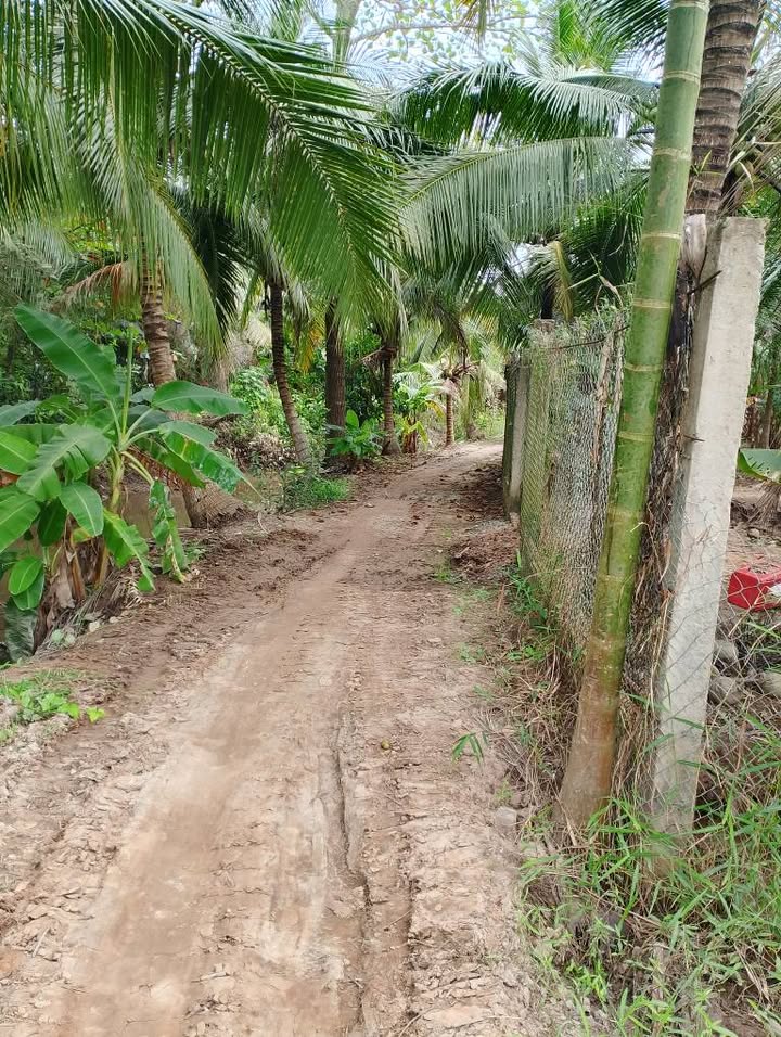 Đất nền 174m² tại Ấp 2, Xã Phong Phú, Cầu Kè - Cơ hội đầu tư hấp dẫn!