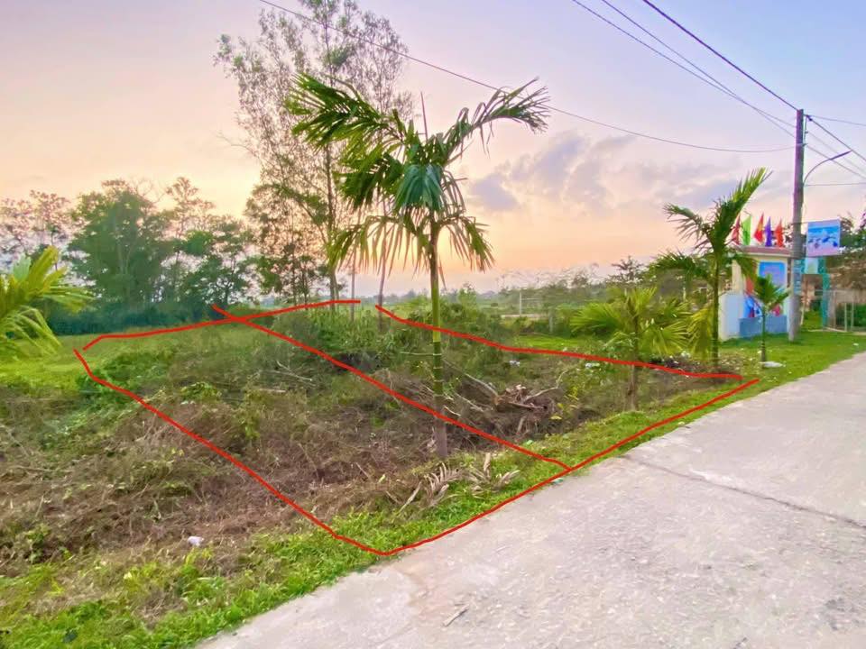 Đất nền thôn Phú Ngạn, xã Cam Hiếu, 138m² - Vị trí đắc địa gần bệnh viện!