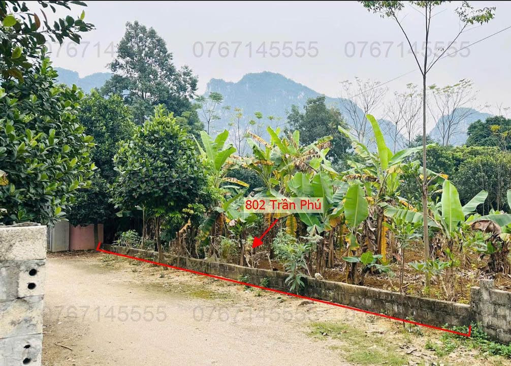 Thửa đất 802m² tại Trần Phú, Chương Mỹ - Ô tô đỗ tận đất, giá chỉ 4 tỷ!