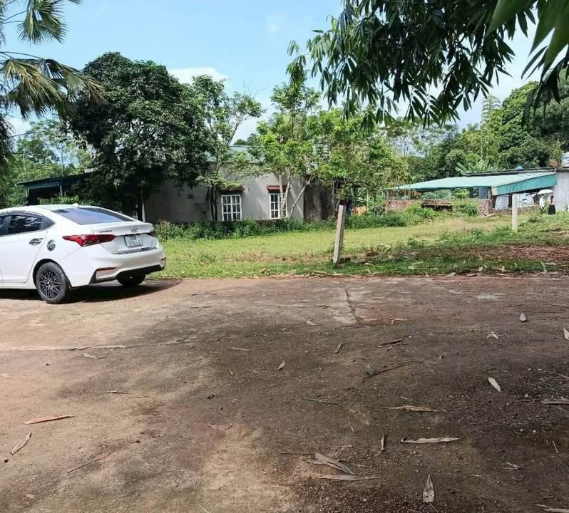 Đất nền thổ cư thôn 4, xã Lưỡng Vượng 525m² giá 1.95 tỷ - Phong thủy tốt, vị trí đẹp!