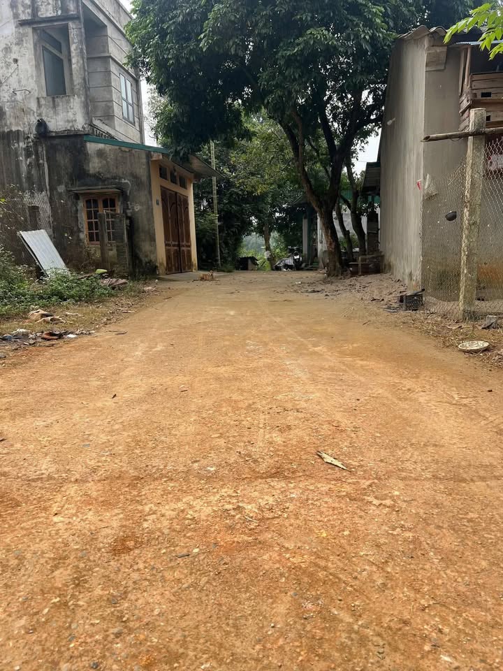 Đất nền An Tường 91m² giá 800 triệu - Đầu tư sinh lời ngay!