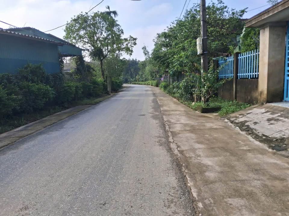 Đất thổ cư Thôn Ngụ Phúc - Xã Cẩm Hưng - 600m² - Tiềm năng phát triển lớn!