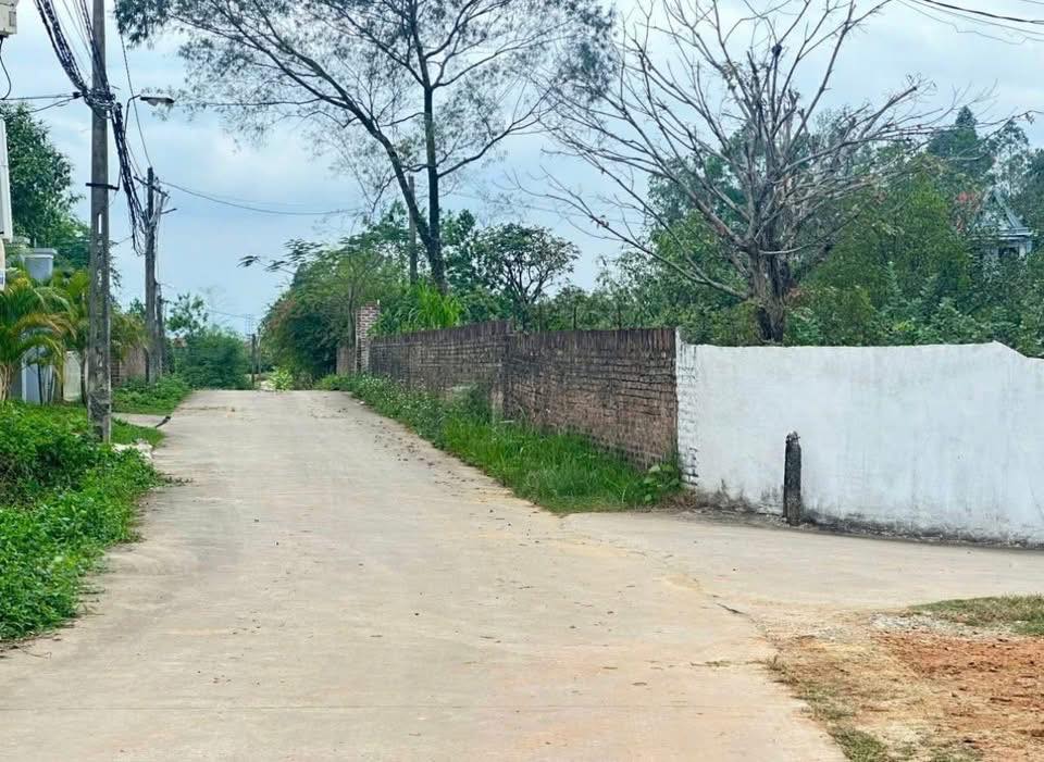 Đất nền xã Điềm Thụy, huyện Phú Bình, Thái Nguyên 100m² giá 700 triệu - Cơ hội đầu tư siêu hấp dẫn!