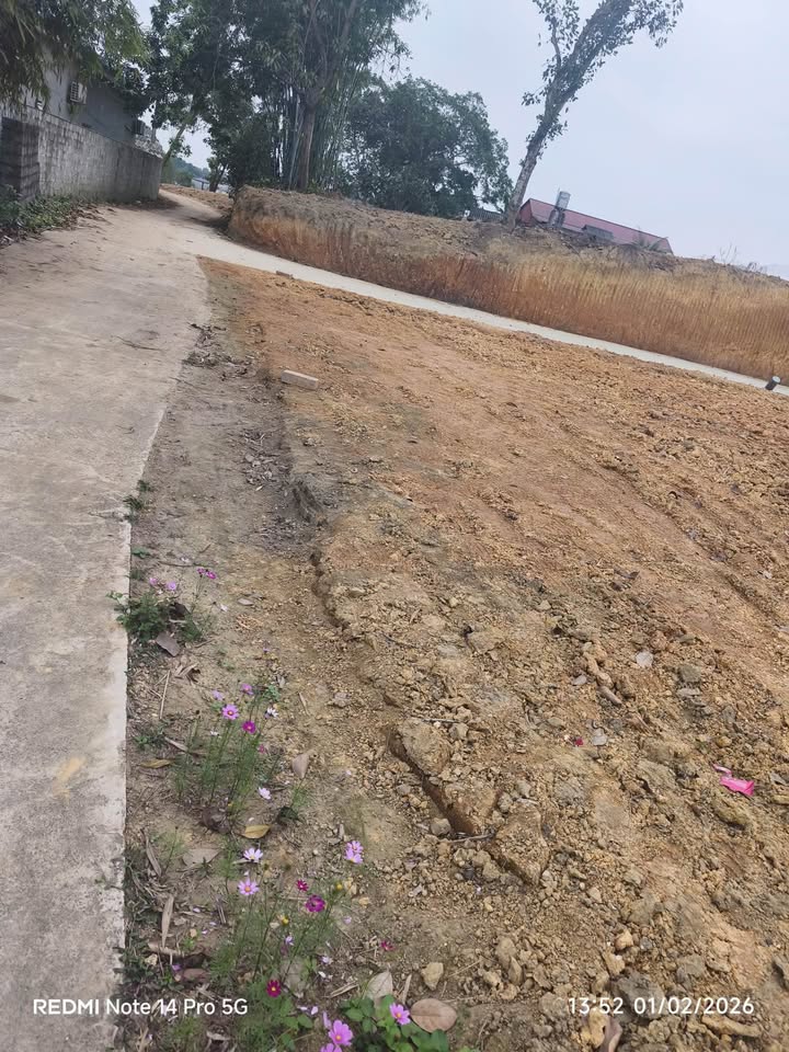 Đất thổ cư Phường Thịnh Đán 176m² giá 1 tỷ - Cơ hội đầu tư hấp dẫn!