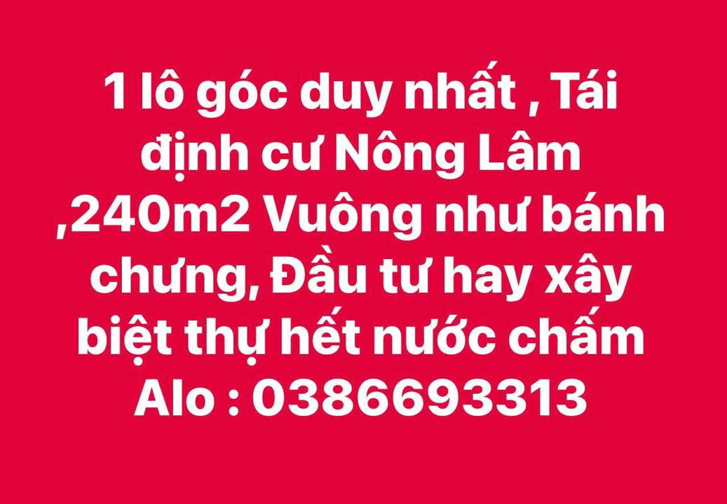 Đất nền góc Tái định cư Nông Lâm 240m² - Cơ hội đầu tư tuyệt vời!