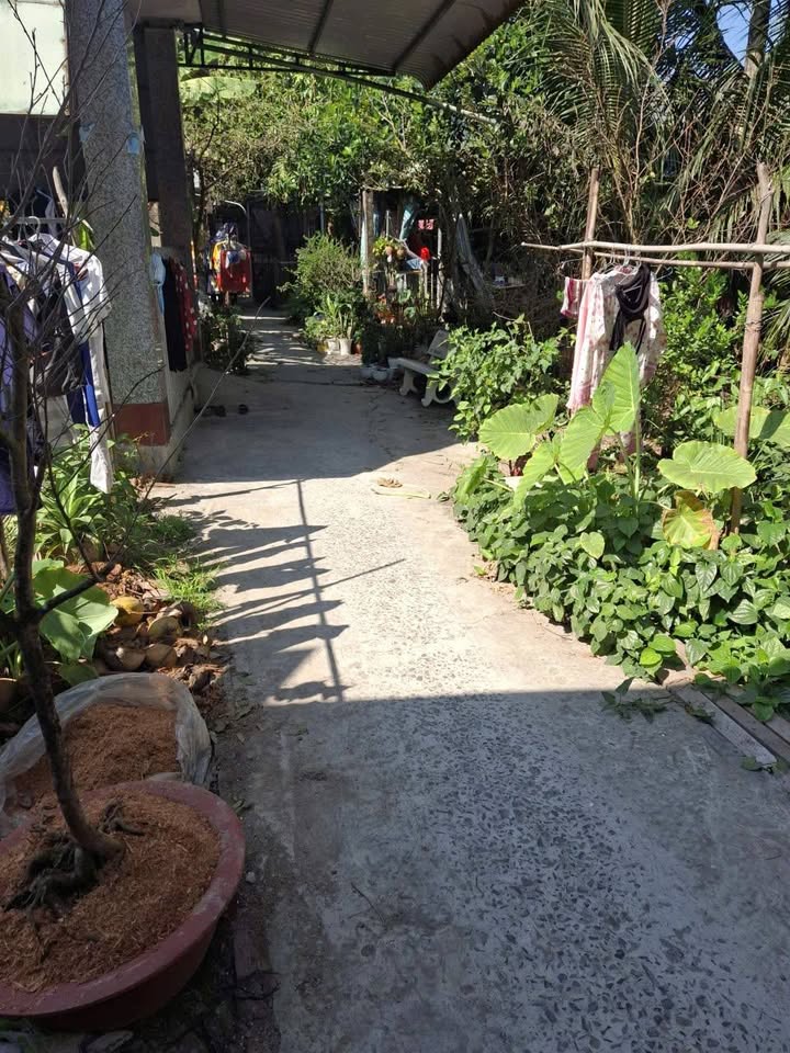 Nhà mặt tiền Ấp Bình Quới, Huyện Cai Lậy, 75m² giá 790 triệu - Sẵn sàng vào ở ngay!