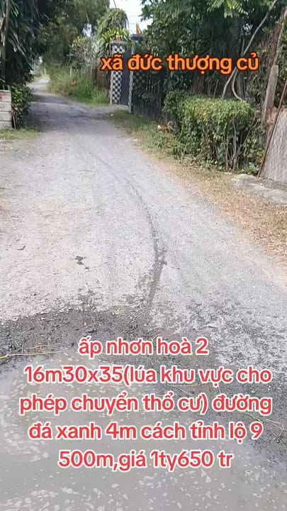 Đất nền Đức Hòa Thượng 580m² giá 1.65 tỷ - Đường ô tô thuận lợi!