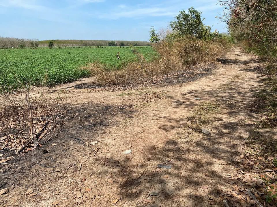 Đất Farm 70.000m² tại Tân Hội, Tân Châu, Tây Ninh - Sổ hồng riêng, giá thỏa thuận!