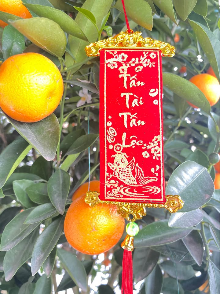 Đất nền Xã Nam Hải, Huyện Tiền Hải, 98m² giá 2 tỷ - Đầu tư sinh lời lý tưởng!