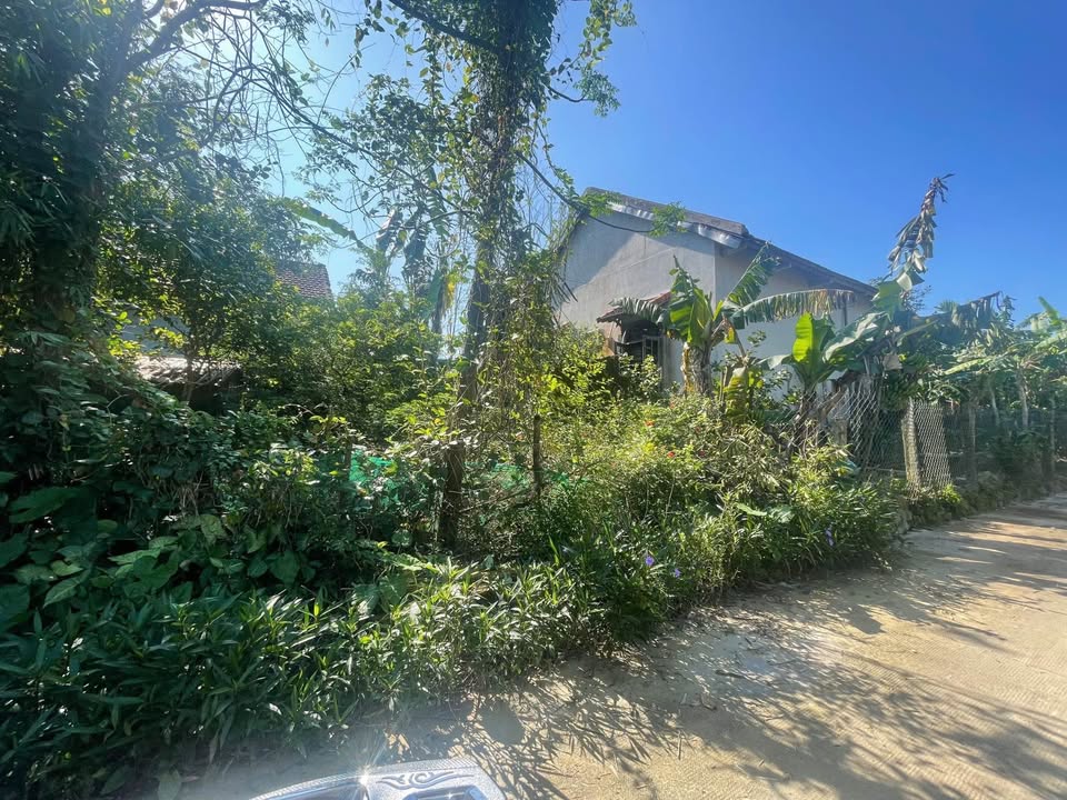 Đất nền TDP Bồn Trì, Hương An, 100m² - Vị trí đẹp, giá tốt!