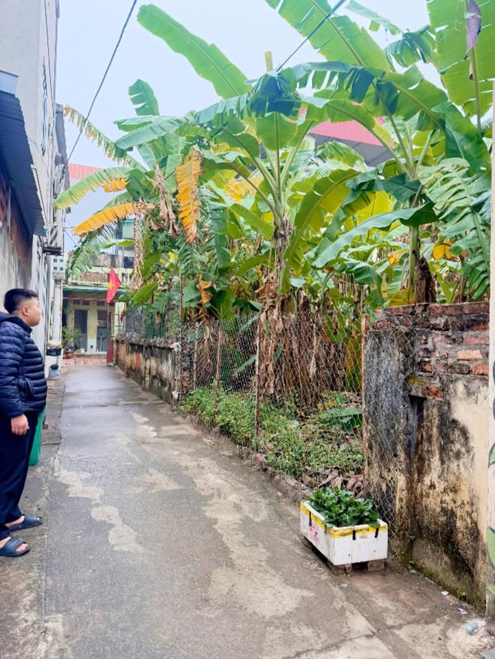 Đất nền đẹp tại Thượng Mỗ, Đan Phượng - Diện tích 80m², giá chỉ 4x triệu - Cơ hội đầu tư tuyệt vời!