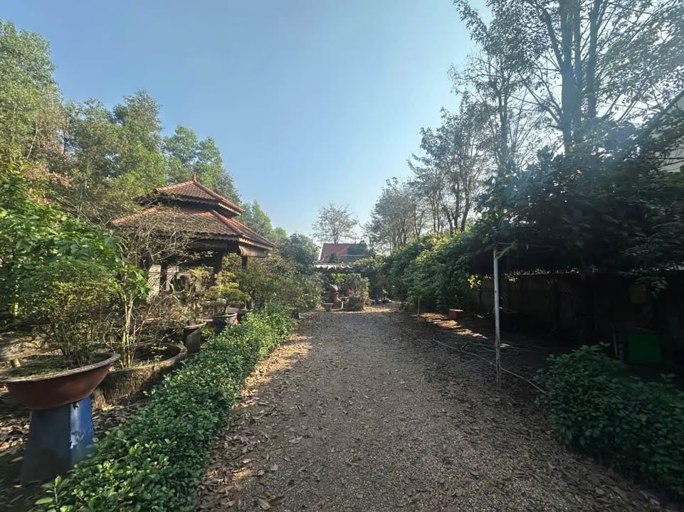 Đất nền Tân Định Bến Cát 1230m² giá 19.115 tỷ - Cơ hội đầu tư sinh lời!