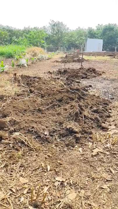 Farm đất 360m² tại Dầu Giây, Đồng Nai - Giá rẻ nhất khu vực!