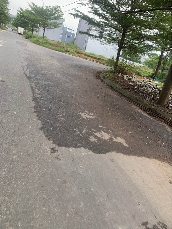 Lô đất mặt tiền Đường Tôn Đản, 86m² giá 3.65 tỷ - Kinh doanh thuận lợi!