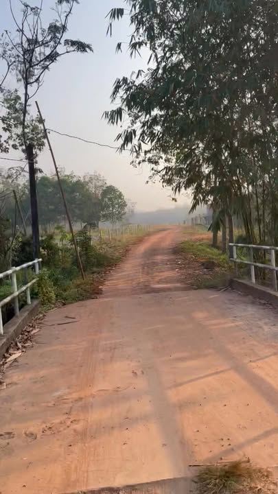 Đất vườn 3100m² tại Long Nguyên, Bàu Bàng - Giá thỏa thuận hấp dẫn!