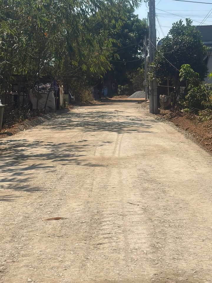 Đất thổ cư 130m² tại Xã Trừ Văn Thố, Bàu Bàng chỉ 1 tỷ - Cơ hội đầu tư hấp dẫn!