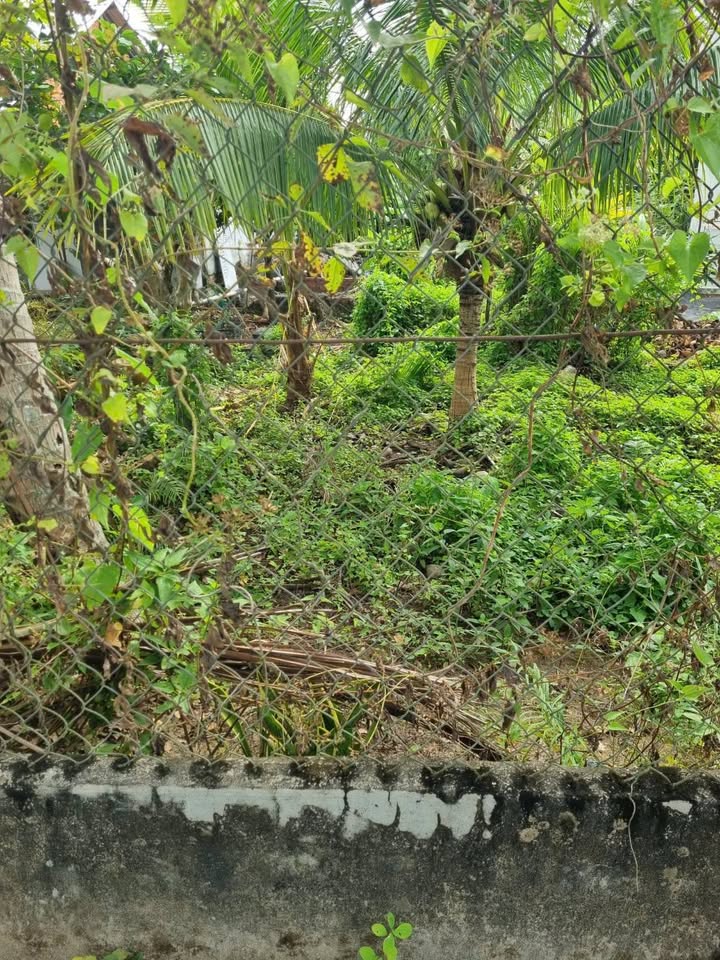 Đất nền Phường Hưng Phú, Quận Cái Răng, 150m² - Sổ hồng chính chủ, giá chỉ 999 triệu!