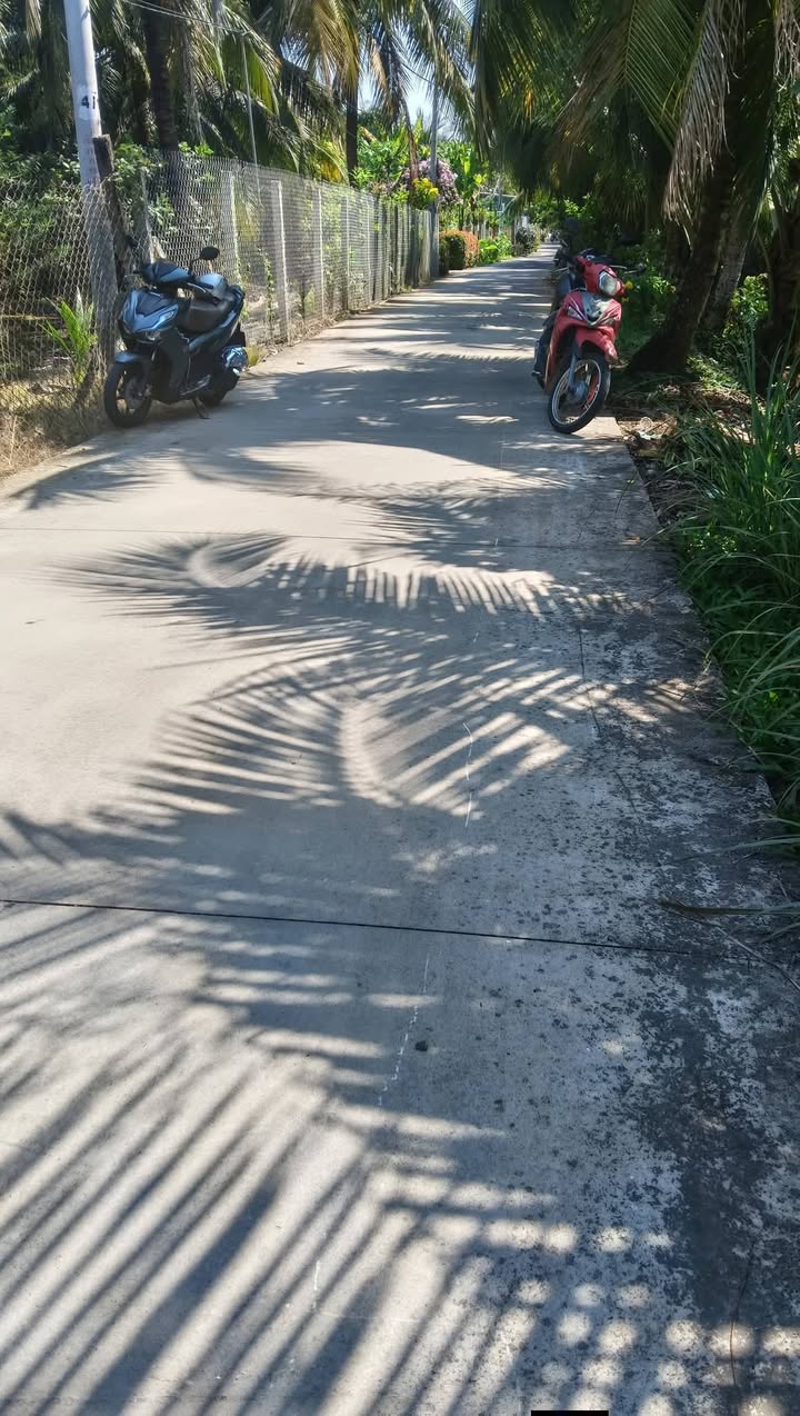 Đất nền 545m² tại Đường Kênh 7 Thước, Cai Lậy - Chỉ 1.1 tỷ, đầu tư sinh lời!