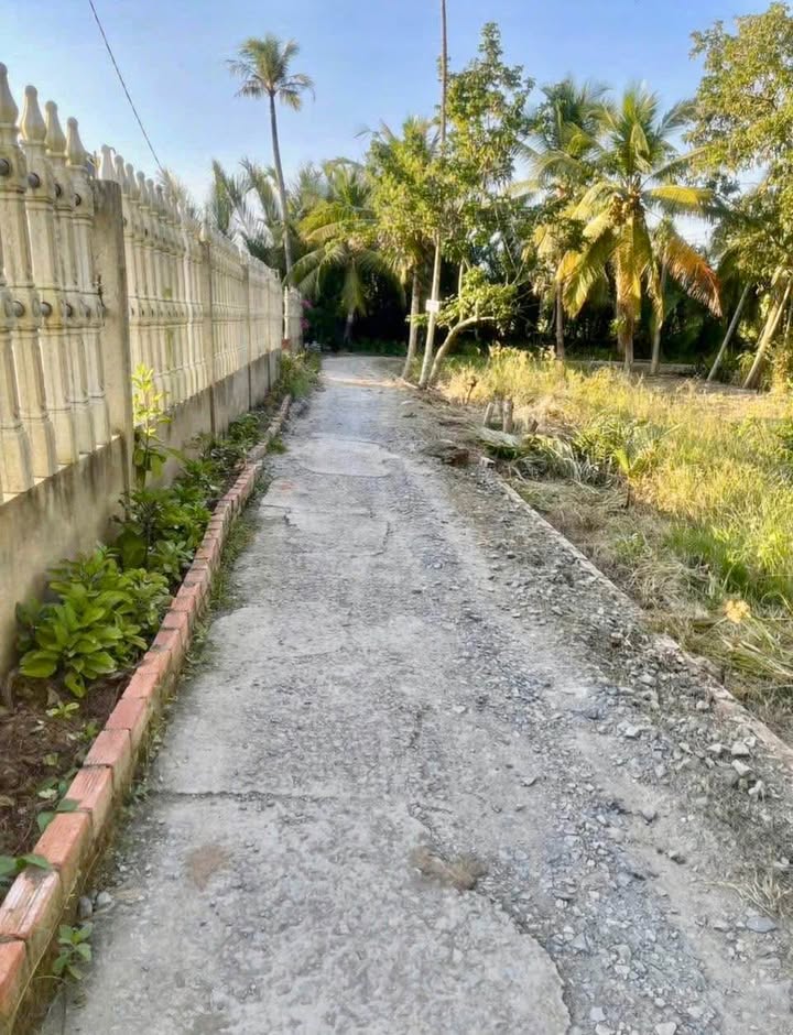 Đất thổ cư xã Phước Hiệp, huyện Mỏ Cày Nam 627m² giá 550 triệu - Tiện lợi xây dựng và làm vườn!