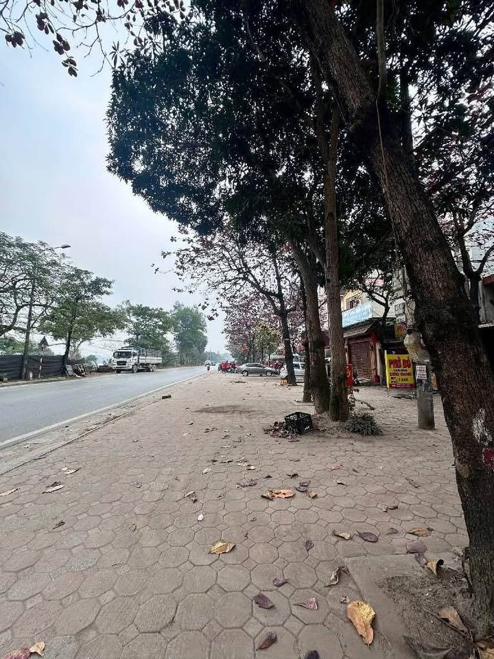 Nhà mặt tiền Quốc lộ Đông Anh 110m² giá chỉ 2 tỷ - Kinh doanh sầm uất!