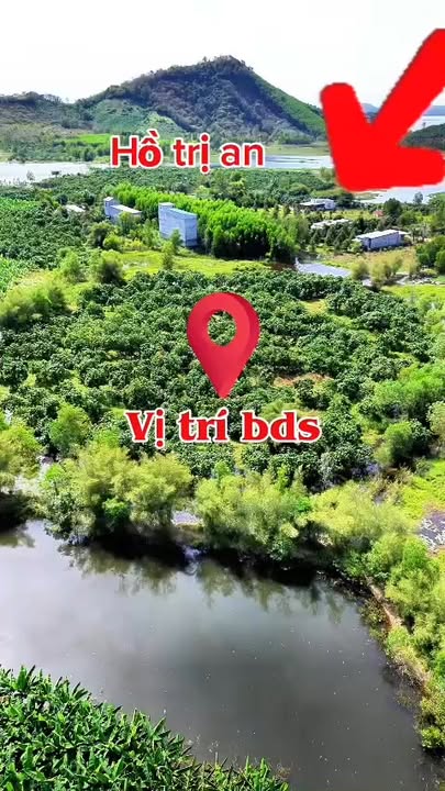 Lô đất trồng cây tại Xã Thanh Sơn, Huyện Định Quán, 13.000m² giá 4.5 tỷ - Đầu tư sinh lời!