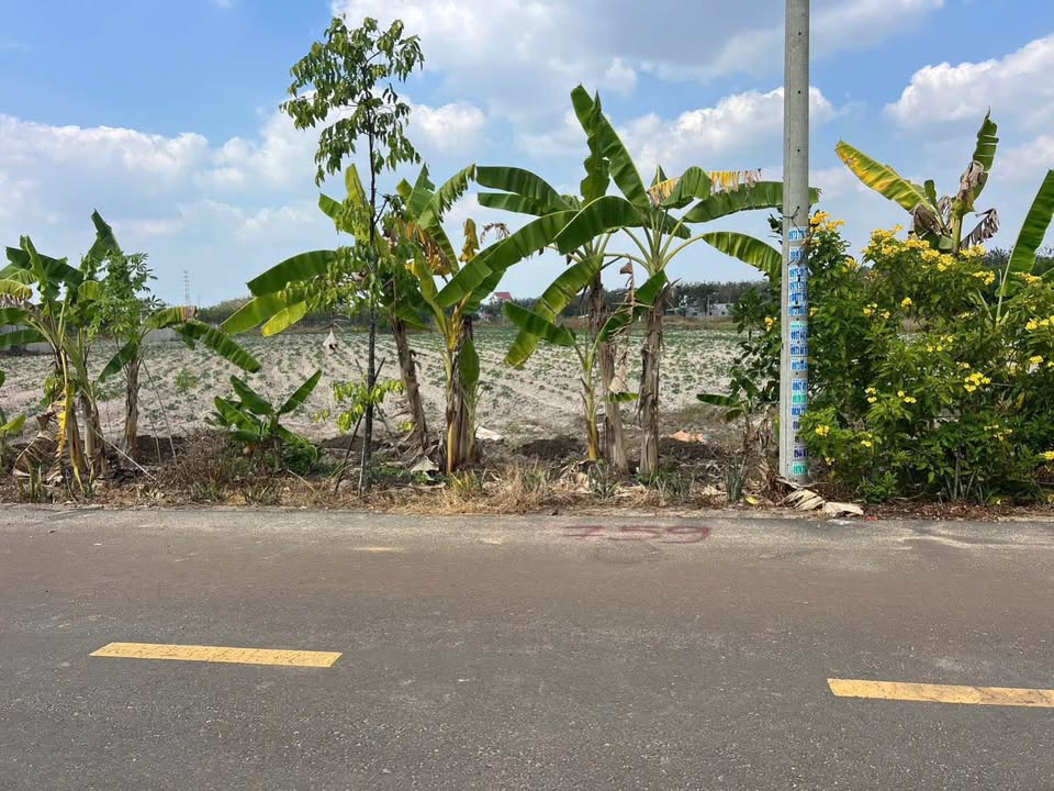 Đất nền mặt tiền đường nhựa số 1, Nha Bích, 210m² giá chỉ 830 triệu - Cơ hội đầu tư hấp dẫn!