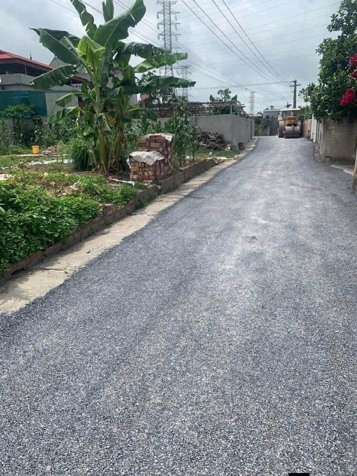 Đất thổ cư xã Thái Ninh, huyện Thái Thụy 80m² giá 4.x tỷ - Đường ô tô vào tận nơi!