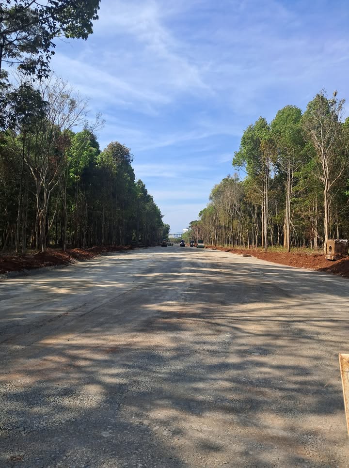 Đất nông nghiệp 10ha xã Ea Tiêu, Cư Kuin - Chỉ 2.88 tỷ - Cơ hội đầu tư hấp dẫn!