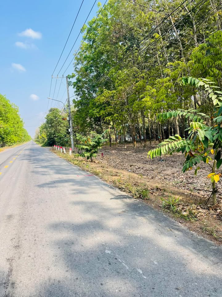 Kho xưởng 1.4 HA Đường DH618 Lai Uyên - Đất bằng phẳng, sổ đỏ chính chủ