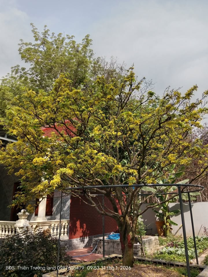 Đất nền Thị trấn Lai Uyên 120m² giá 1.25 tỷ - Đầu tư sinh lời ngay!