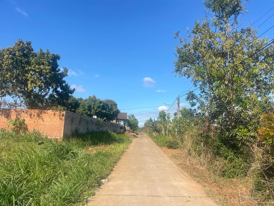 Đất thổ cư tại xã Eana, huyện Krông Ana, 10.25m² chỉ 2xx triệu - Cần bán gấp!