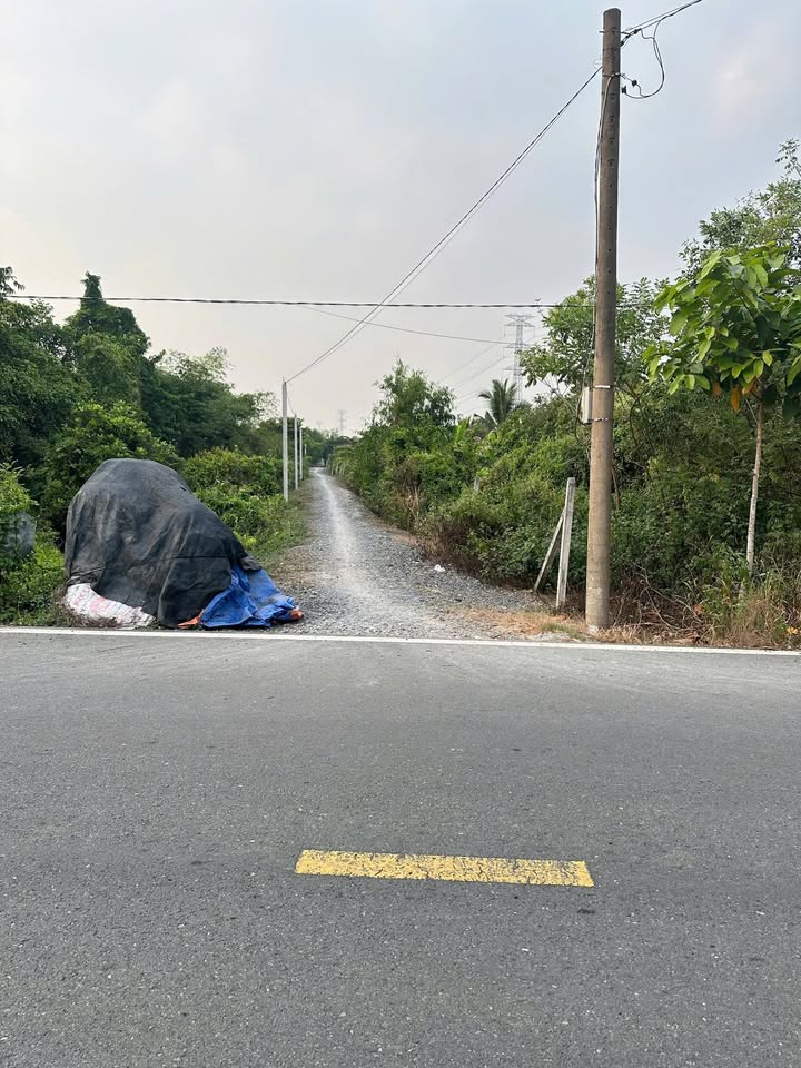 Đất lúa 1200m² tại Trung An, Mỹ Tho giá chỉ 1.25 tỷ - Cơ hội đầu tư tuyệt vời!