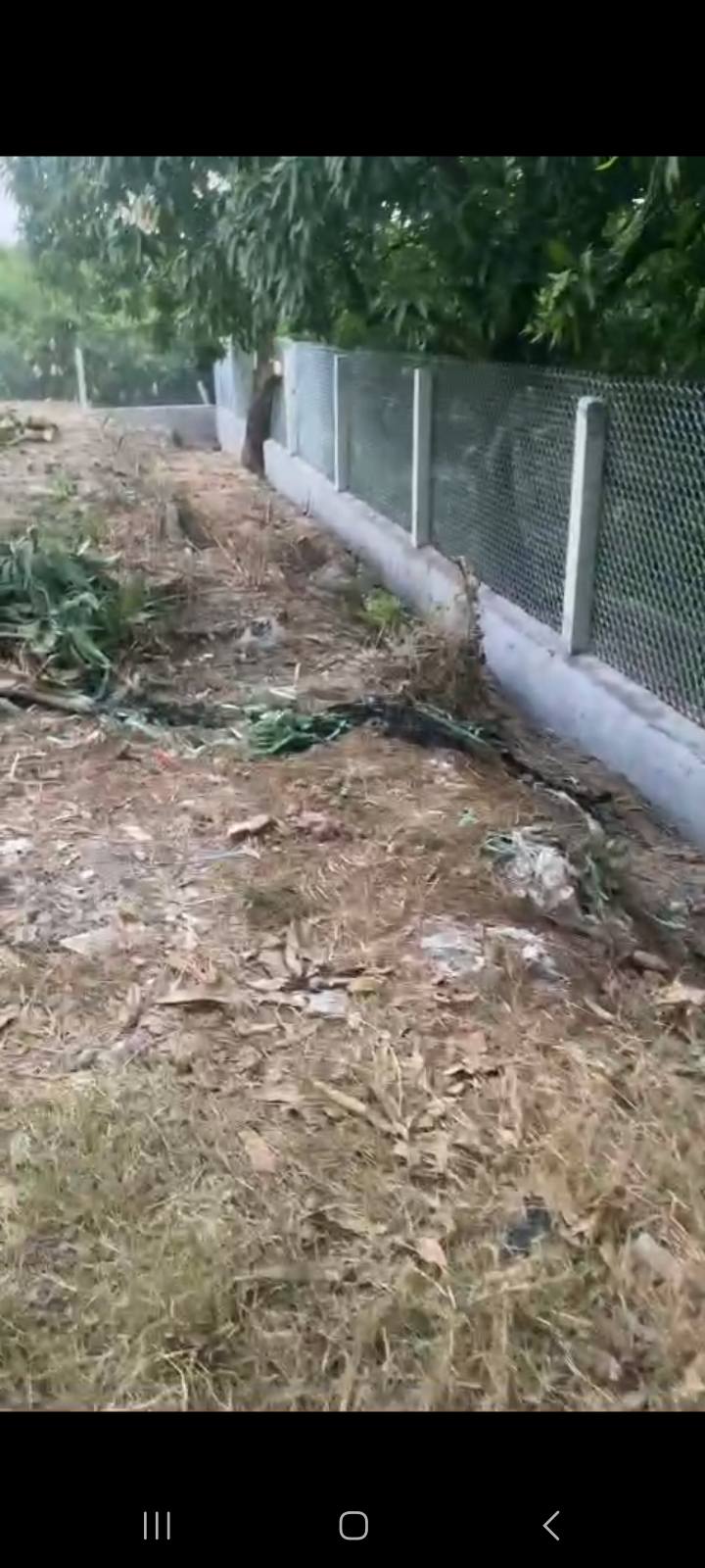 Đất nền Đường Nguyễn Thị Đầm, Cao Lãnh 504.8m² giá 2.5 tỷ - Đầu tư sinh lời lý tưởng!