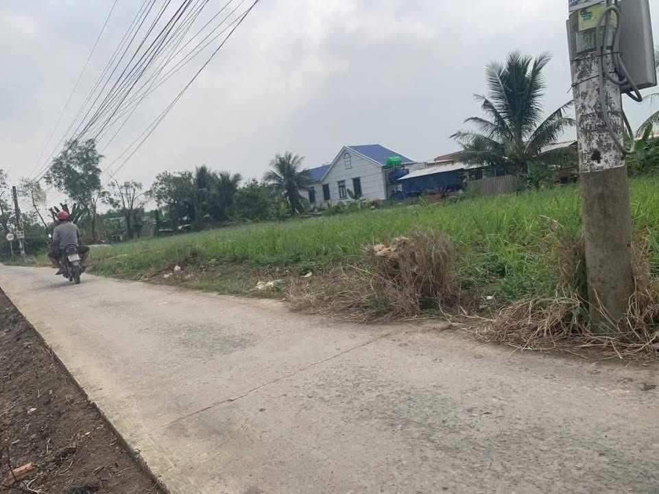 Đất mặt tiền Quốc lộ 50, Gò Công Tây 2000m² giá 5 tỷ - Thích hợp phân lô đầu tư!