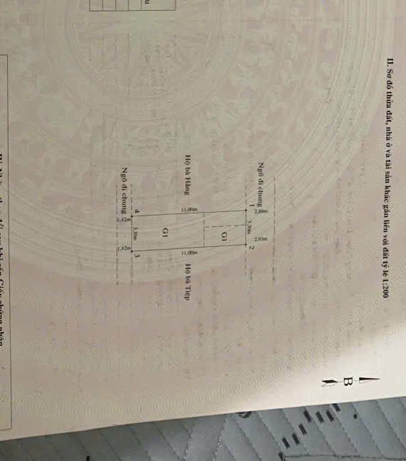 Nhà hai tầng ngõ 161 Phương Lưu, Hải Phòng 37m² - Giá chỉ 1,75 tỷ!
