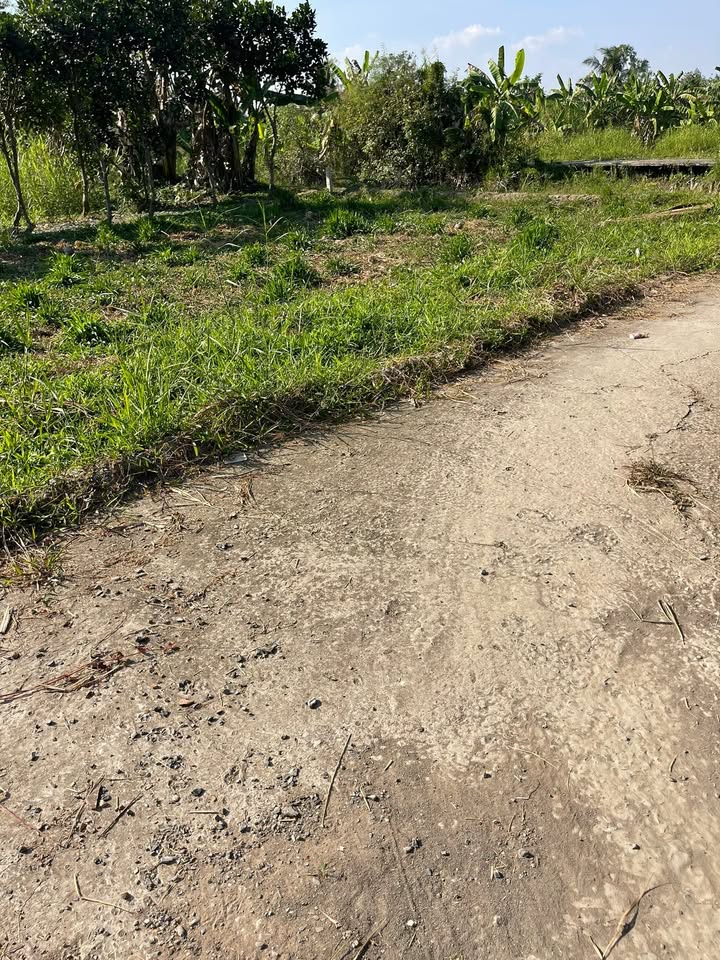 Đất nền xã Đông Bình, Thới Lai, Cần Thơ 240m² giá 950 triệu - Cơ hội đầu tư hấp dẫn!