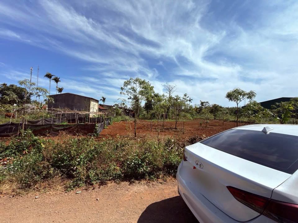 Lô đất thổ cư Hòa Thuận, Buôn Ma Thuột 125m² giá 570 triệu - Pháp lý rõ ràng!