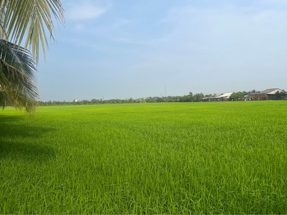 Đất nền 3345m² đường Honda, An Khánh - Giá chỉ 1.67 tỷ, cơ hội đầu tư tuyệt vời!