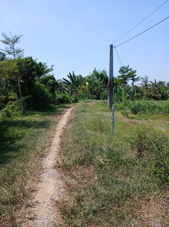 Đất nền 1000m² xã Tân Phú Đông giá chỉ 350 triệu - Cơ hội đầu tư hấp dẫn!