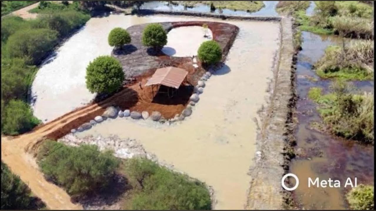 Đất Farm tại Xã Đức An, Lâm Đồng 10.000m² giá 2.2 tỷ - Sổ đỏ chính chủ