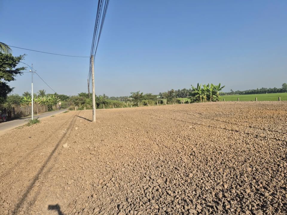 Đất nền mặt tiền nhựa Ấp Thới An B, Long Vĩnh 150m² giá 420 triệu - Đầu tư sinh lời ngay!