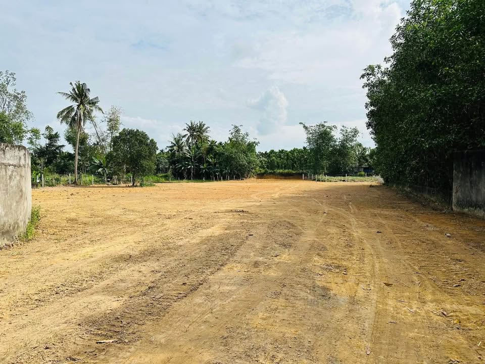 Mảnh vườn đẹp tại Nghĩa Thắng, Quảng Ngãi 4000m² giá chỉ 1.5 tỷ - Cơ hội đầu tư tuyệt vời!