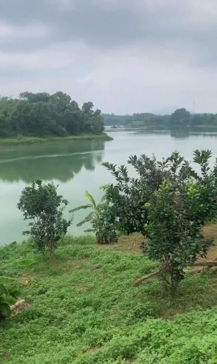 Đất thổ cư 2186m² mặt tiền View Sông Tả Trạch, xã Thủy Bằng, giá 11 tỷ - Đầu tư sinh lời nhanh!