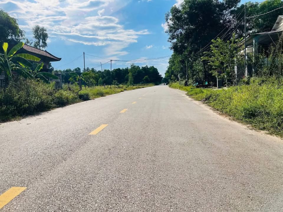 Đất mặt tiền Võ Tảo, Phú Bài 100m² giá 1.2 tỷ - Cơ hội đầu tư tuyệt vời!